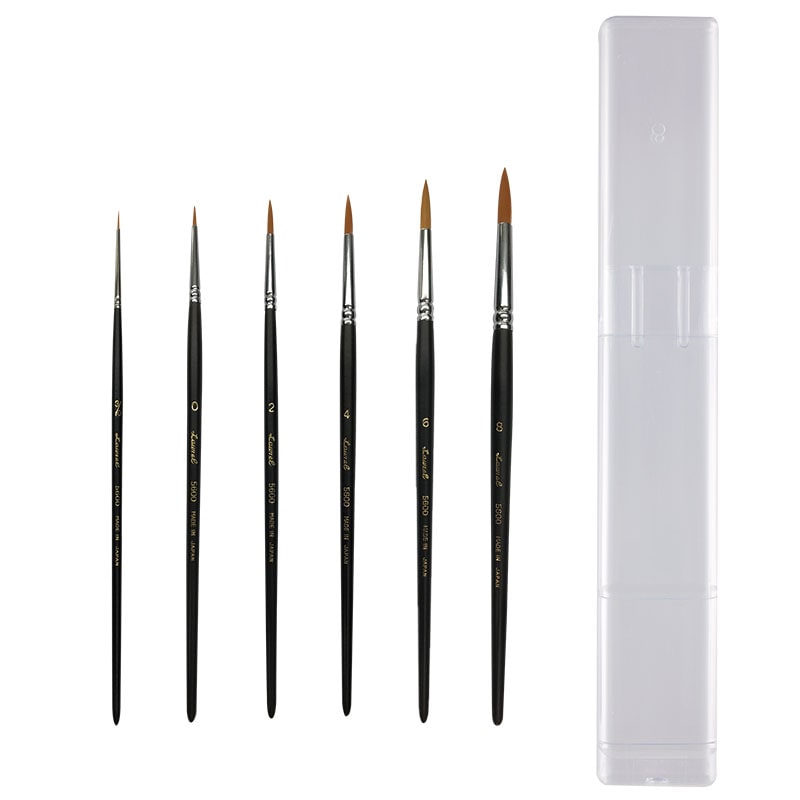 5600スターターセット ラウンド